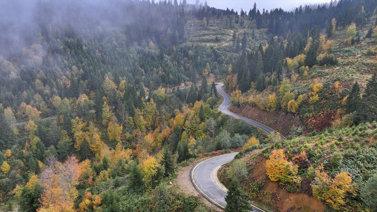 Türkiye'nin önemli tarihi ve turistik mekanlarına sahip olmasının yanı sıra doğal güzellikleriyle...