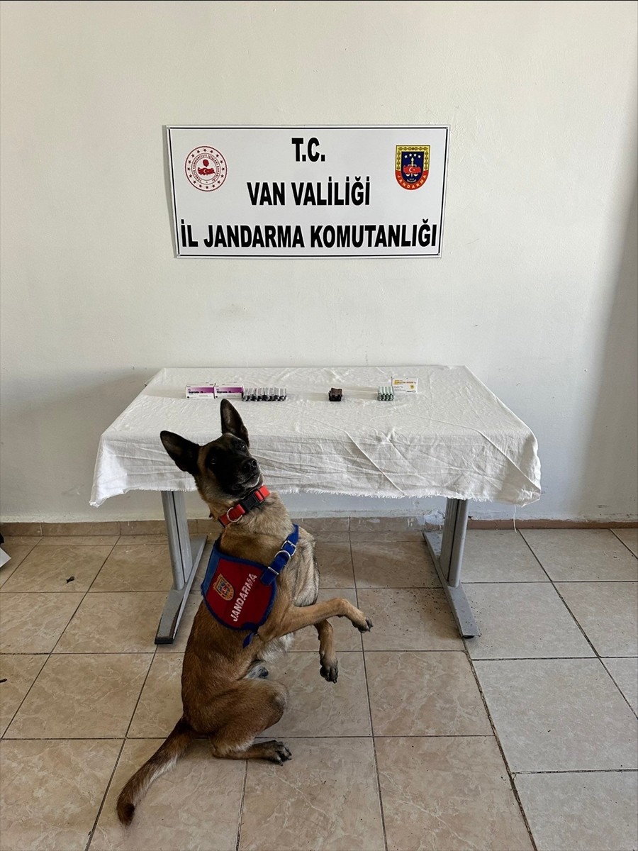 Van'ın İpekyolu ilçesinde gerçekleştirilen yol kontrolünde İran uyruklu şüphelinin üstünde 380...