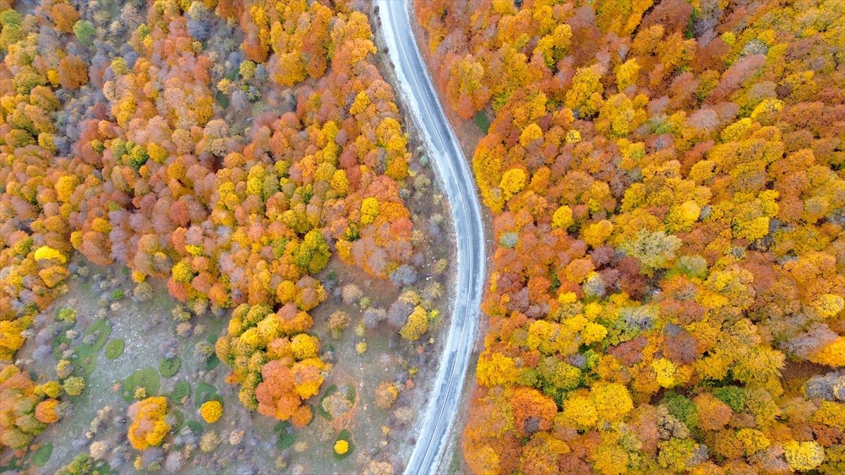 Yozgat'ın Aydıncık ilçesinde, yaklaşık 1550 rakımda yer alan Şebek Geçidi, barındırdığı ormanlık...