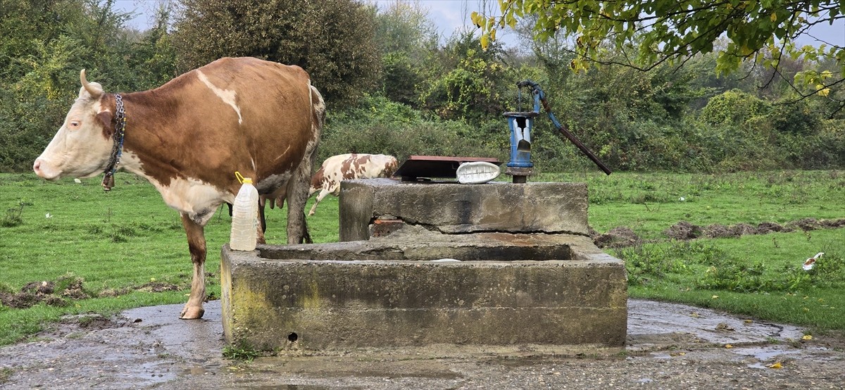 Zonguldak'ın Çaycuma ilçesinde su kuyusunda genç kız cesedi bulundu.