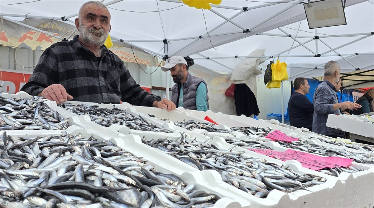 Zonguldak'ta balık tezgahlarında hamsi bolluğu yaşanıyor. Balıkçı tezgahlarını süsleyen hamsinin...