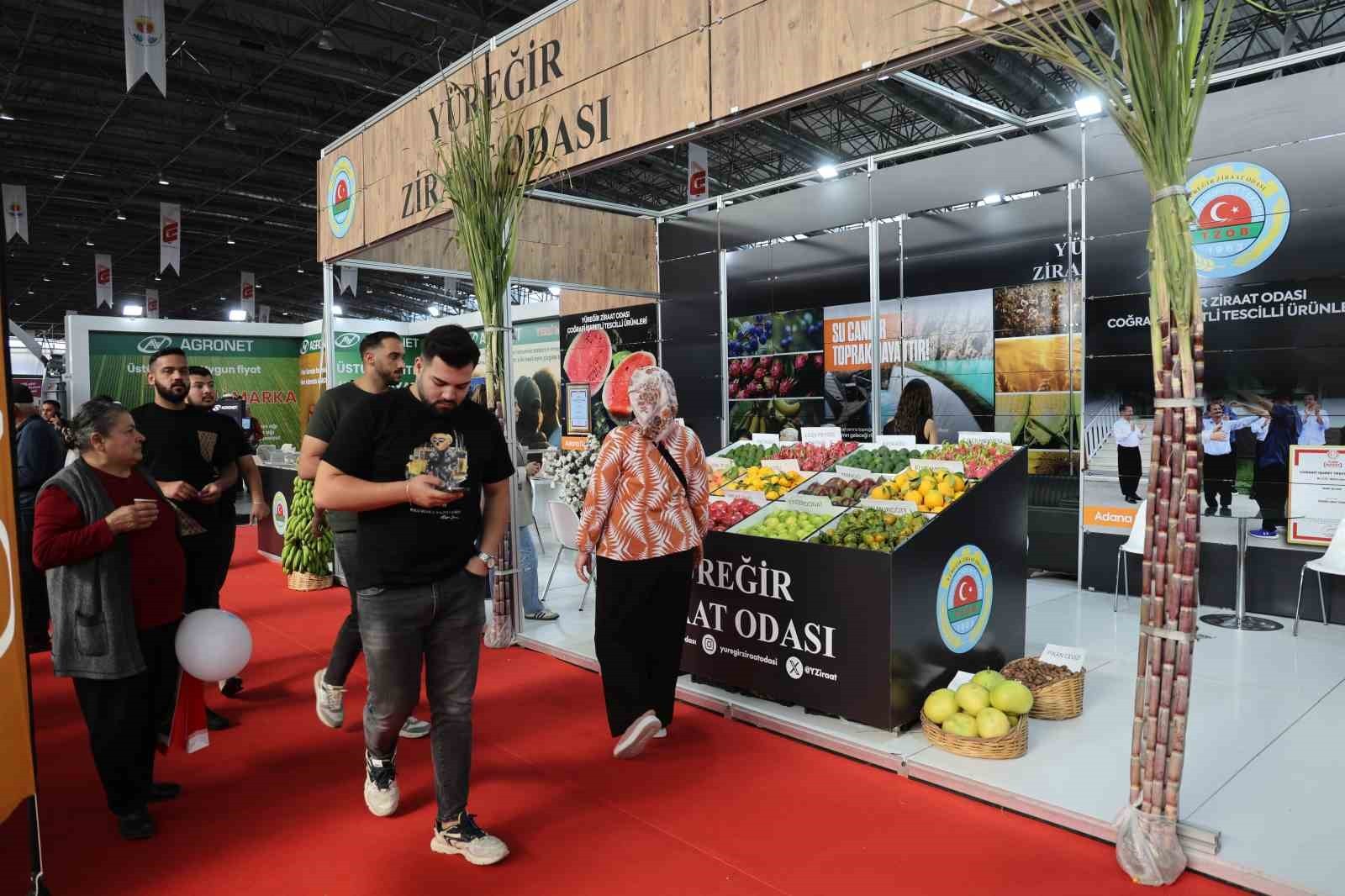 ADANA'DA BUĞDAY, PAMUK VE NARENCİYE GİBİ GELENEKSEL ÜRÜNLER YERİNE YETİŞTİRİLEN EJDER MEYVESİ...