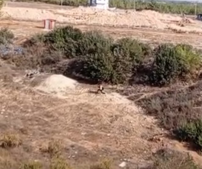 ADANA’DA HAKKINDA KESİNLEŞMİŞ HAPİS CEZASI BULUNAN BİR ŞÜPHELİ, POLİS EKİPLERİNİN "DUR" İHTARINA...