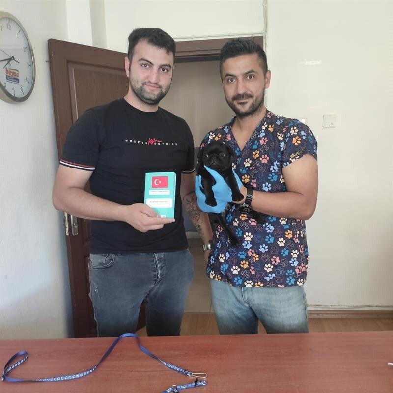 ADANA İL TARIM VE ORMAN MÜDÜRLÜĞÜ 5 MART 2025 TARİHİNDE ÇIKAN YASA GEREĞİ TÜM KEDİ VE KÖPEKLERİN...