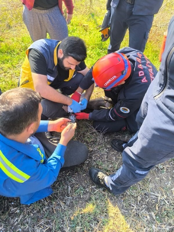ADANA’NIN CEYHAN İLÇESİNDE AYAĞI MOTORLU TESTEREYE SIKIŞAN VATANDAŞ İTFAİYE EKİPLERİ TARAFINDAN...