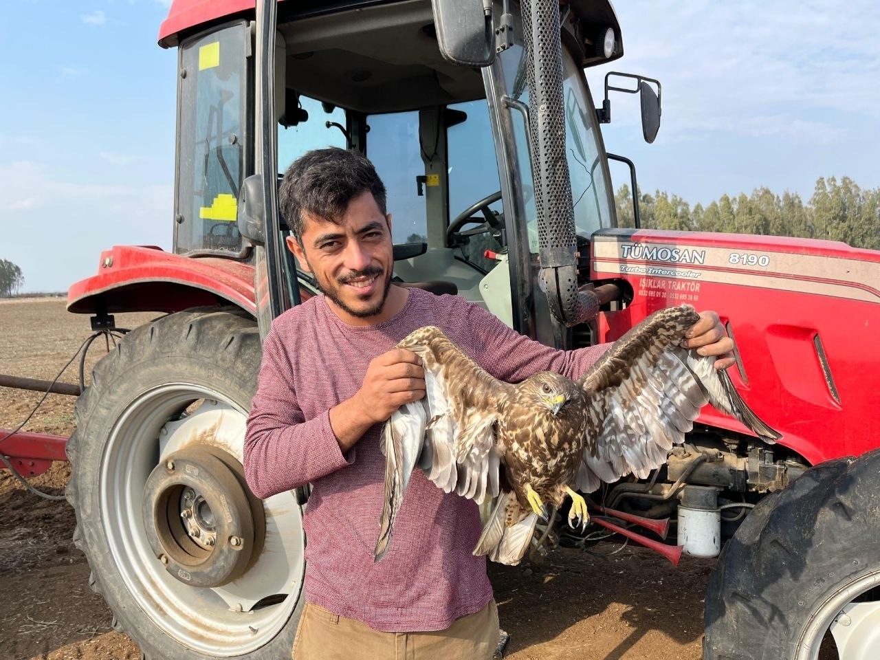 ADANA’NIN CEYHAN İLÇESİNDE YER FISTIĞI HASADI YAPAN BİR ÇİFTÇİ, TARLADA UÇAMAYAN BİR ŞAHİN GÖRÜNCE...