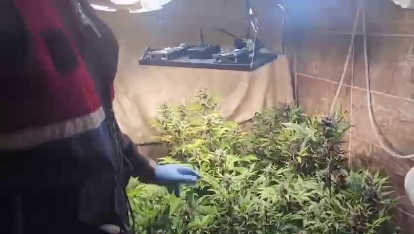 ADLİYEYE SEVK EDİLEN ŞÜPHELİLERDEN BİRİ ADLİ KONTROLLE SERBEST KALIRKEN BİRİ TUTUKLANDI.