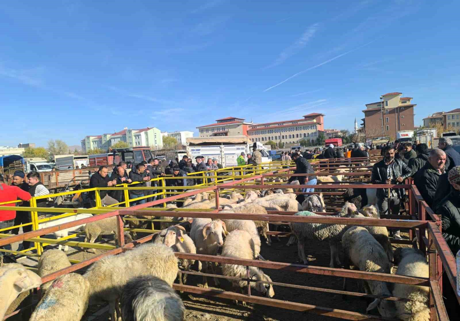 AFYONKARAHİSAR’IN ŞUHUT İLÇESİNDE KÜÇÜKBAŞ HAYVANLARDA GÖRÜLEN HASTALIKLAR NEDENİYLE KAPATILAN...