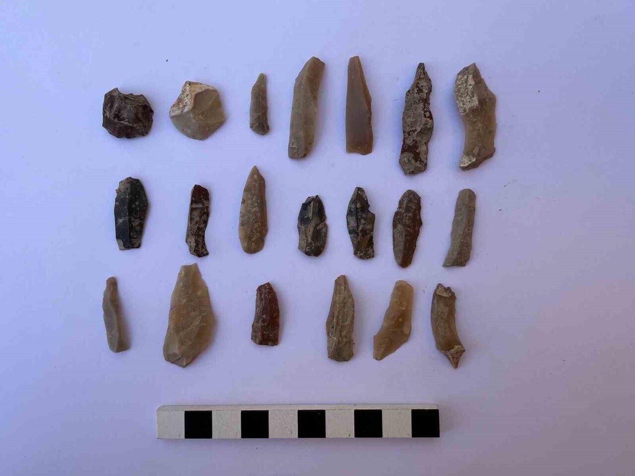 AKDENİZ ÜNİVERSİTESİ EDEBİYAT FAKÜLTESİ ARKEOLOJİ BÖLÜMÜ ÖĞRETİM ÜYELERİNİN DE YER ALDIĞI...