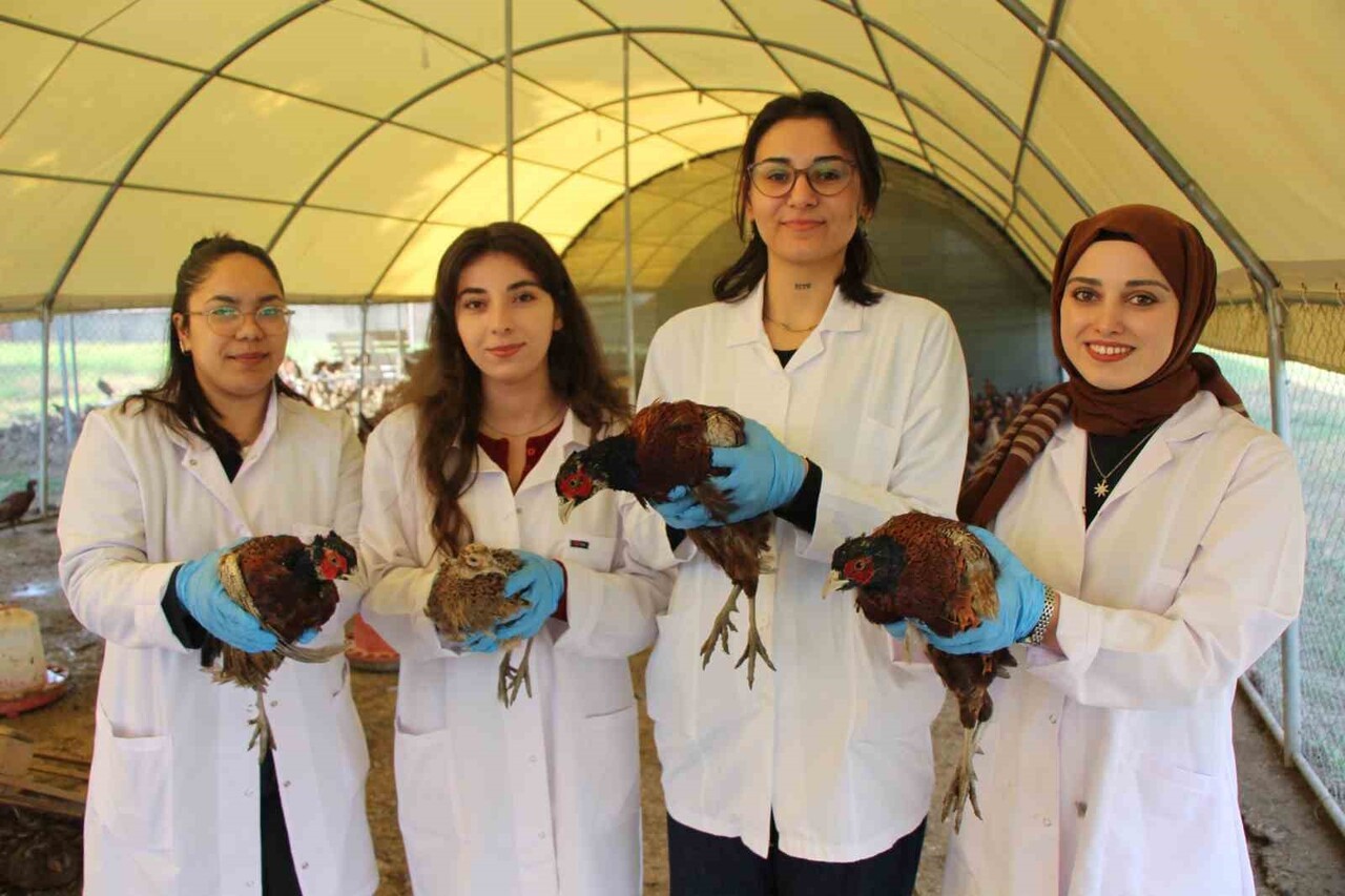 AMASYA ÜNİVERSİTESİ’NİN BU ALANDA YAPTIĞI YATIRIMLA SULUOVA MESLEK YÜKSEKOKULU’NUN (MYO)...