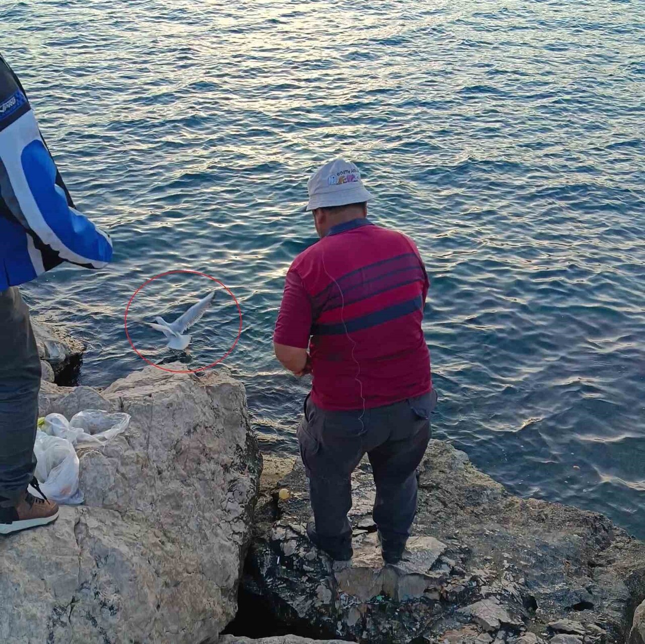 ANTALYA'DA BİR BALIKÇININ OLTASINA BALIK YERİNE MARTI TAKILDI