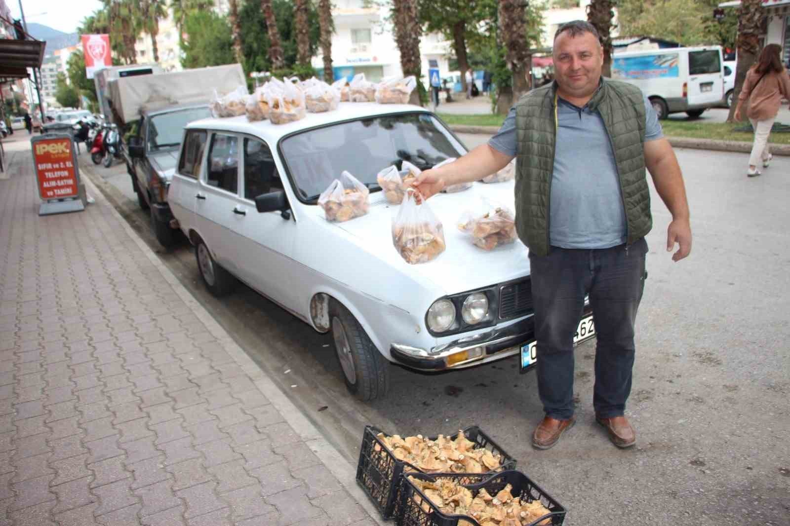 ANTALYA'NIN KUMLUCA İLÇESİNDE ÇAM AĞAÇLARININ ALTINDA ŞİMŞEK VE  GÖK GÜRÜLTÜSÜNDEN SONRA ÇIKAN...