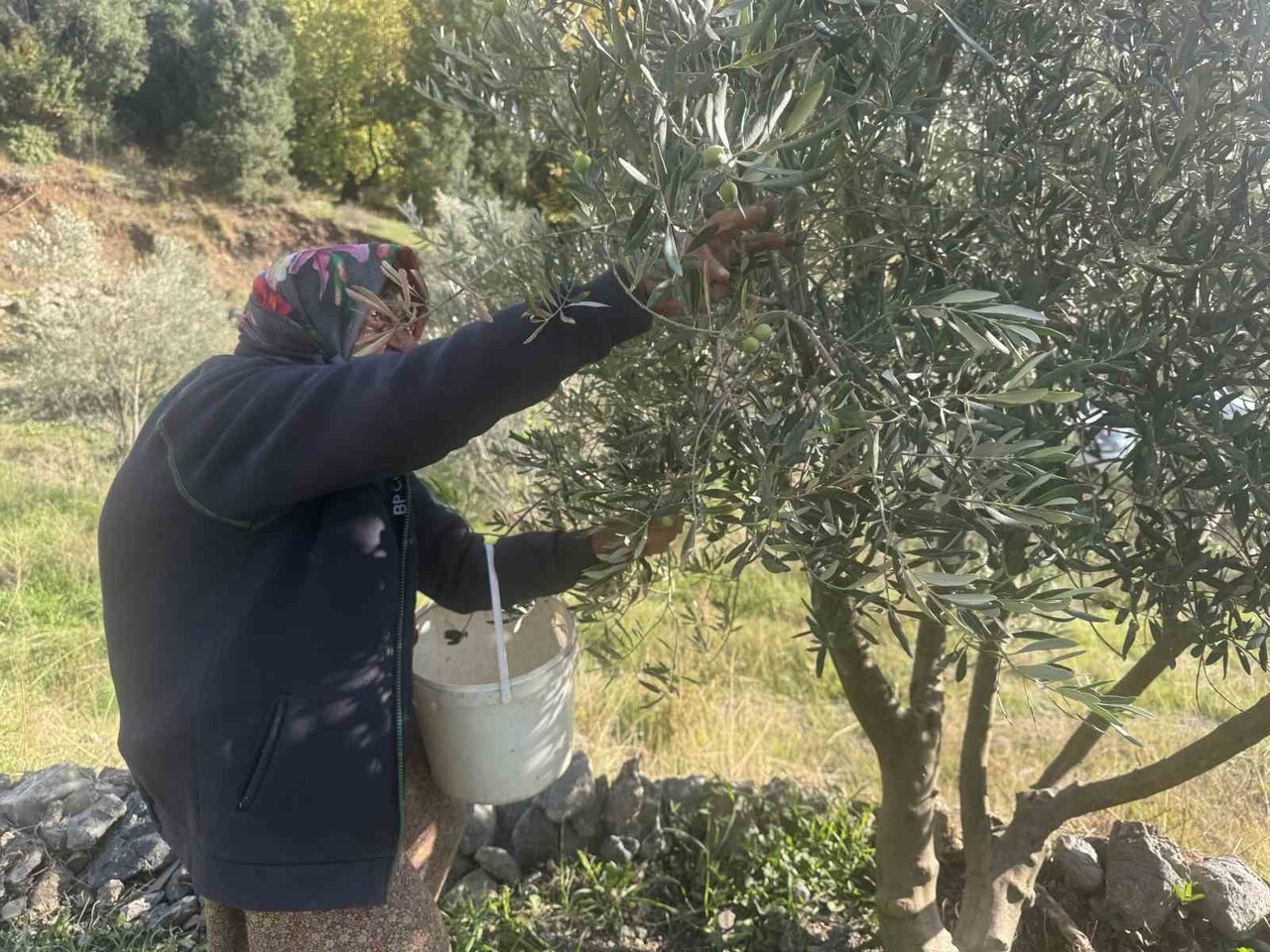 ANTALYA’NIN AKSEKİ İLÇESİ ÇUKURKÖY MAHALLESİ’NDE YAŞAYAN 88 YAŞINDAKİ EMİNE AKSOY, İLERLEYEN...