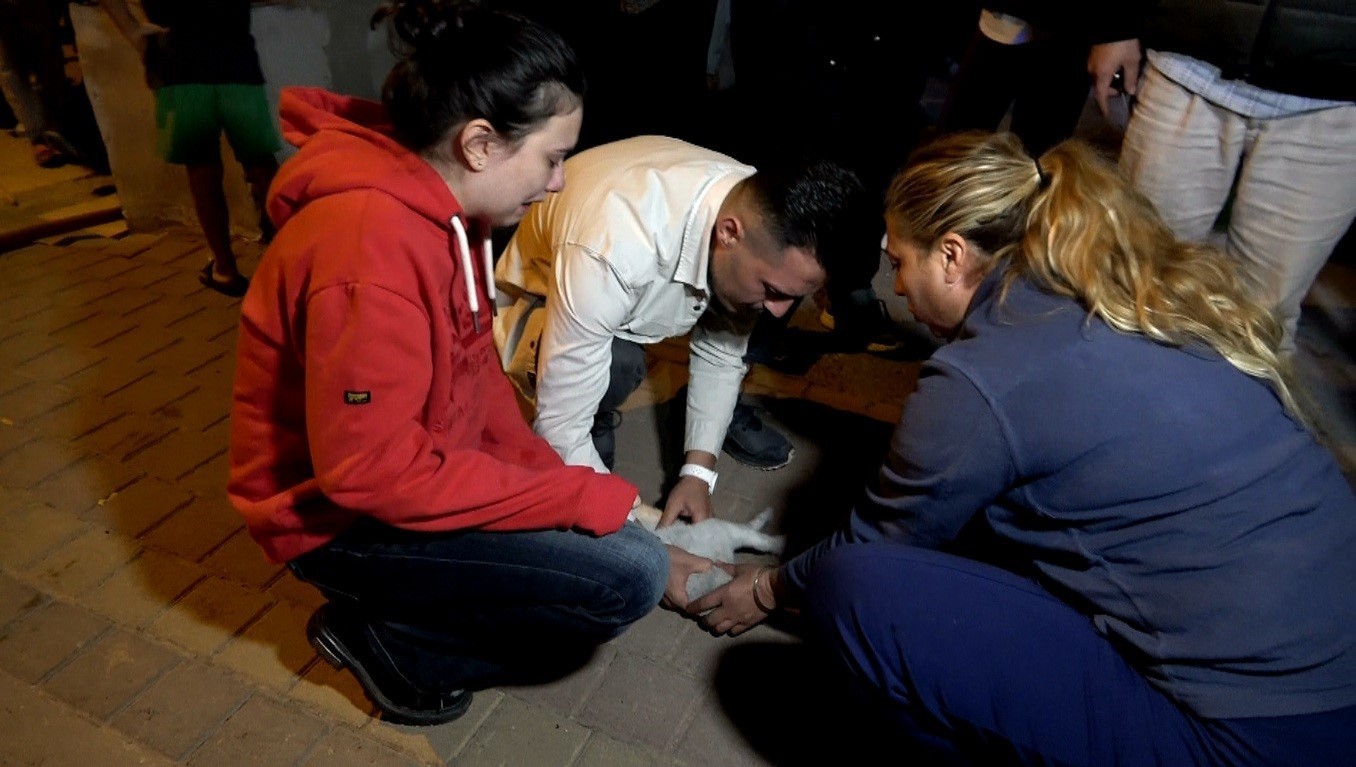 ANTALYA’NIN KEPEZ İLÇESİ ÖZGÜRLÜK MAHALLESİ’NDE BİR APARTMANIN ALT KATINDAKİ DAİREDE ÇIKAN...