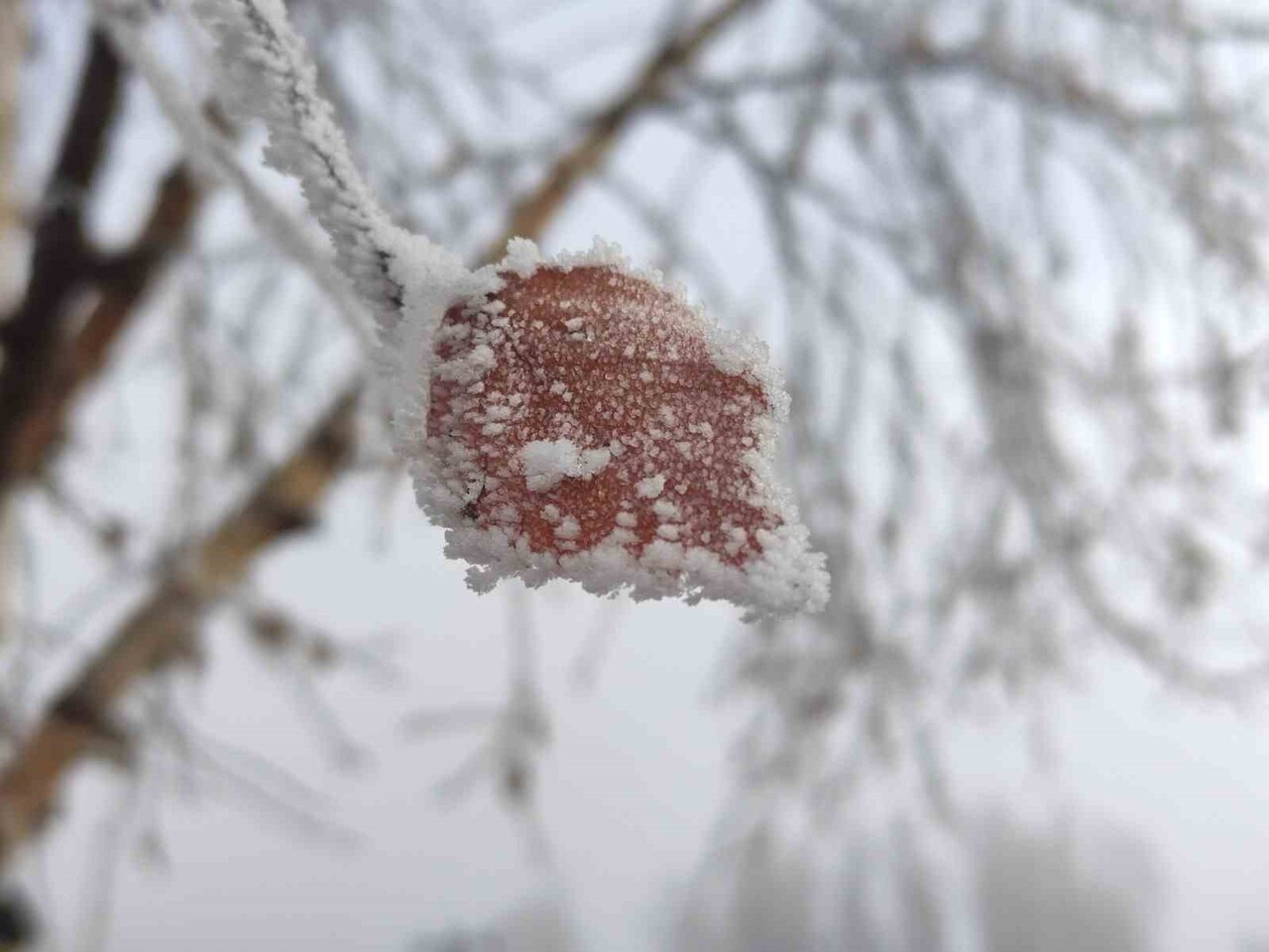 ARDAHAN’IN GÖLE İLÇESİNDE HAVA SICAKLIĞI GECE SAATLERİNDE EKSİ 14,6 DERECEYE KADAR...