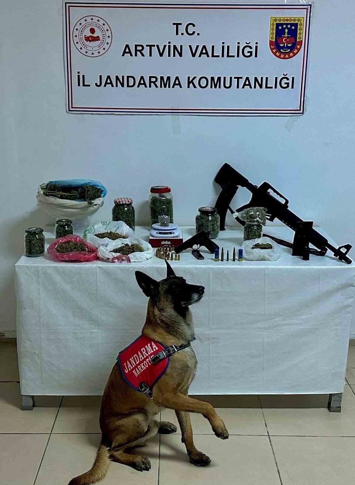 ARTVİN’İN KEMALPAŞA İLÇESİNDE JANDARMA EKİPLERİNCE DÜZENLENEN UYUŞTURUCU OPERASYONUNDA ÇEŞİTLİ...