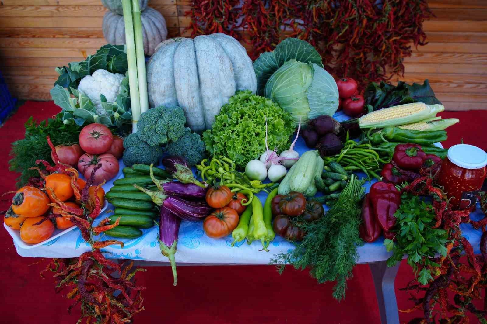 ATA TOHUMUNDAN ÜRETİLEN ORGANİK ÜRÜNLER, SÖĞÜTLÜK MİLLET BAHÇESİ'NDE KURULAN STANTLARDA SATIŞA...