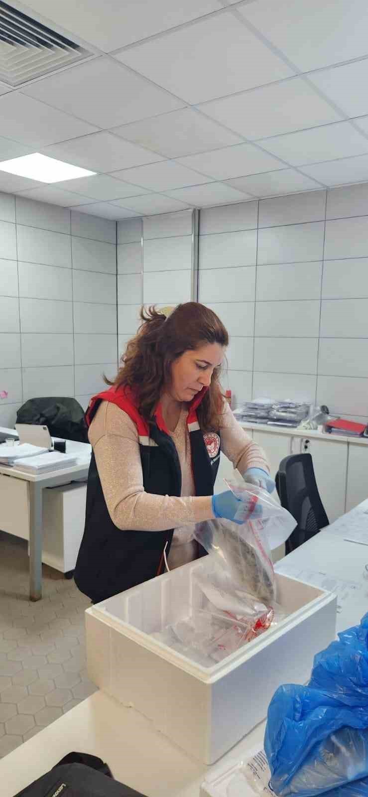 AYDIN'IN SÖKE İLÇESİNDEN YURTDIŞINA İHRAÇ EDİLECEK BALIKLAR, KALİTE VE GÜVENLİK İÇİN...