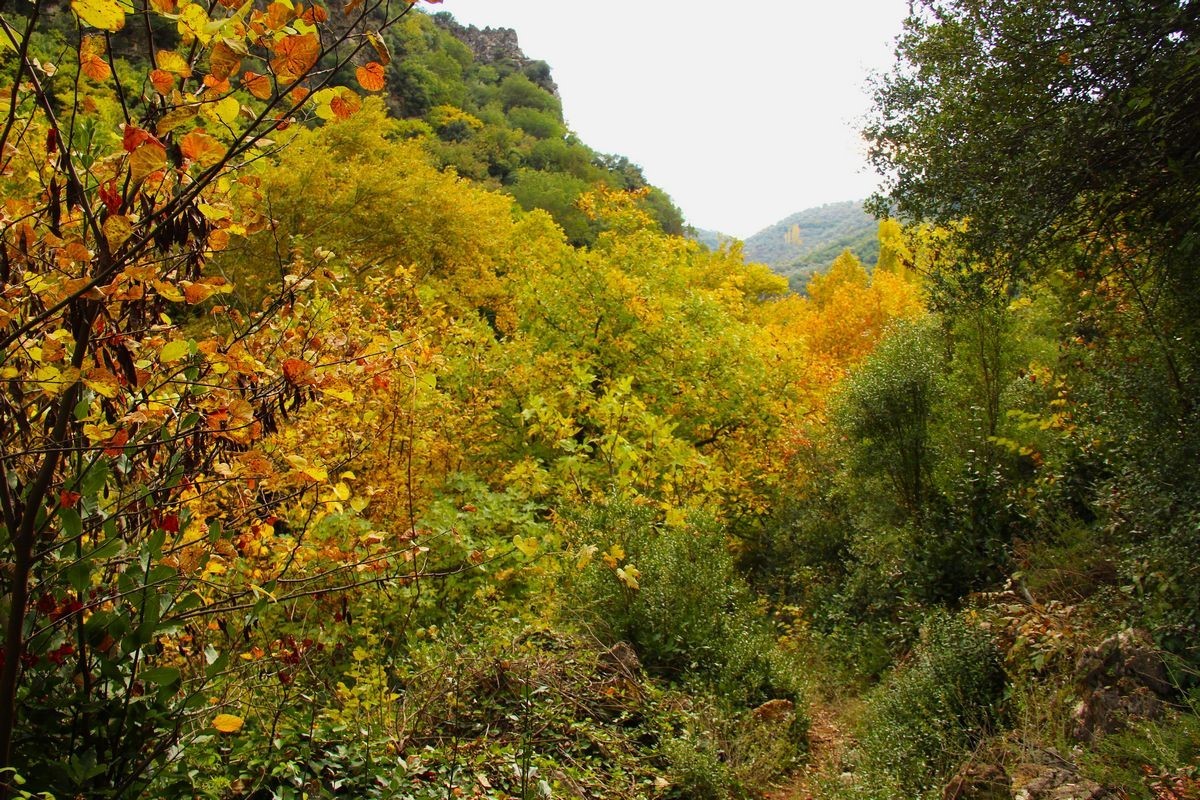 AYDIN’IN KÖŞK İLÇESİ SINIRLARINDA YER ALAN DOĞA HARİKASI KOÇAK KANYONU, KORUMA STATÜSÜNE ALINMAYI...