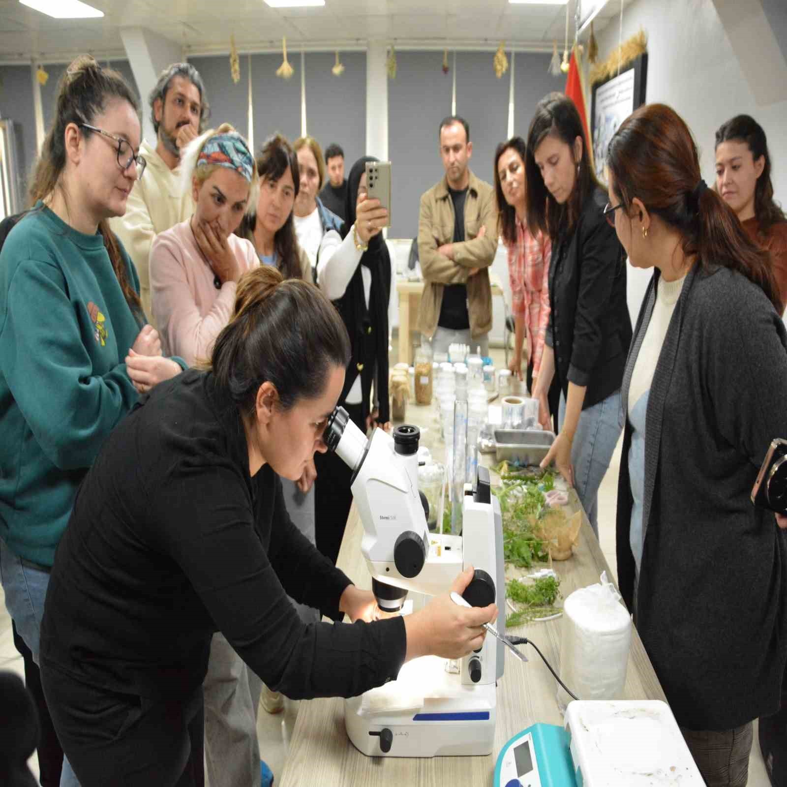 BALIKESİR BÜYÜKŞEHİR BELEDİYESİ KIRSAL HİZMETLER DAİRESİ BAŞKANLIĞINA BAĞLI BALIKESİR ÇİFTÇİ...