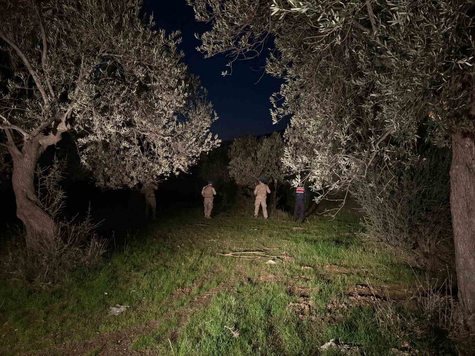 BALIKESİR’İN EDREMİT İLÇESİNDE ZEYTİN HASAT DÖNEMİNİN BAŞLAMASIYLA BİRLİKTE JANDARMA EKİPLERİ VE...