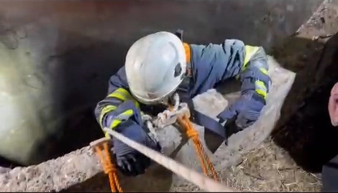 BATMAN'DA SU KUYUSUNA DÜŞEN ÇAKAL İTFAİYE EKİPLERİNCE KURTARILDI.