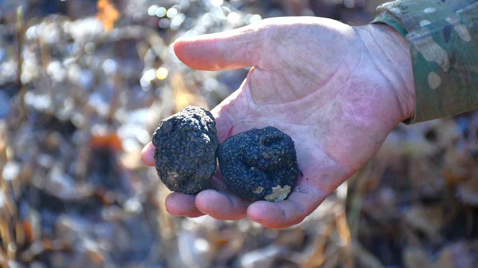 BAYBURT ‘KARA ELMAS’ İLE TANIŞACAK