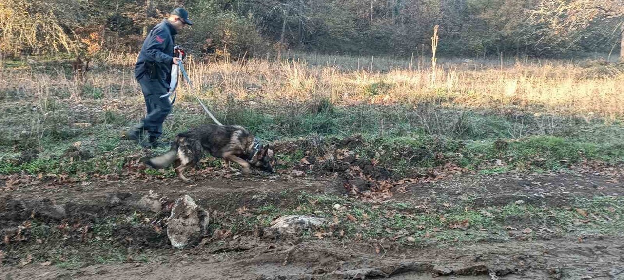 BİLECİK'E DÜN ÖĞLEDEN SONRA MANTAR TOPLAMAK İÇİN ORMANLIK ALANA GİREN VE BİR DAHA KENDİSİNDEN...