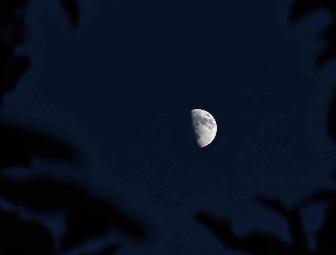 BİTLİS’İN AHLAT İLÇESİNDE AKŞAM GÜN BATIMININ AĞAÇ DALLARININ ARASINDAN BELİREN YARIM AYIN...