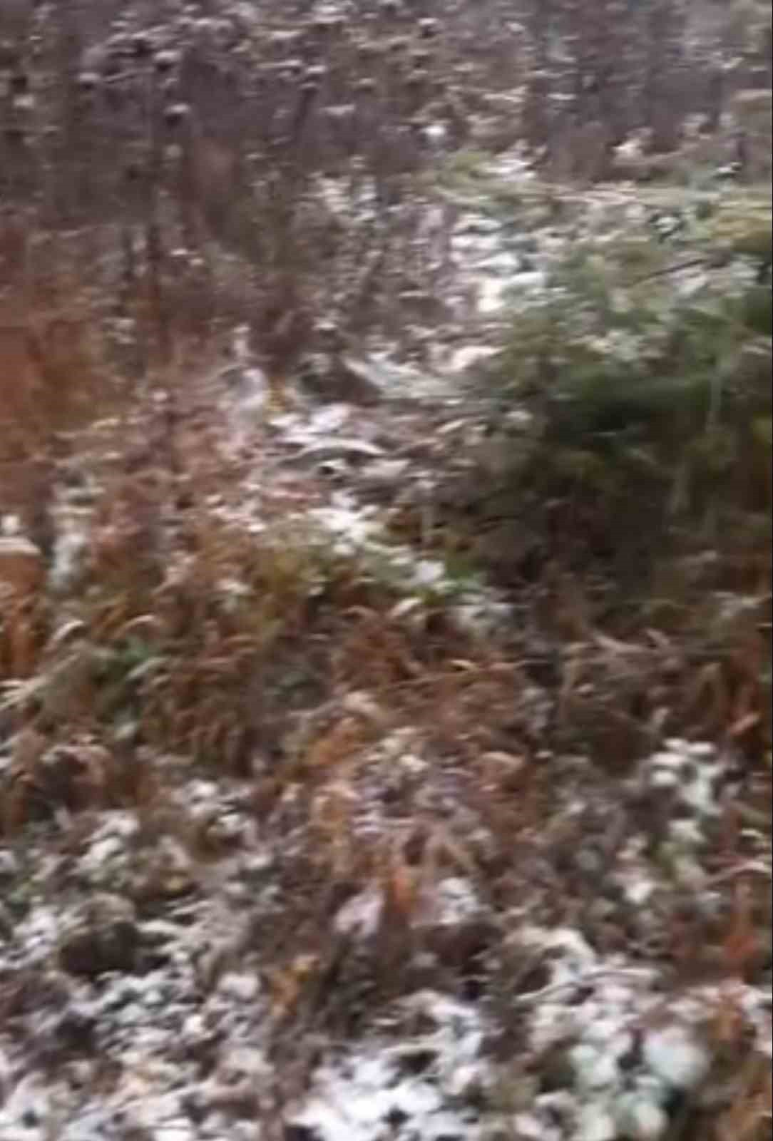 BOLU’NUN YÜKSEKLERİNDE SABAH SAATLERİNDEN İTİBAREN ARALIKLARLA KAR YAĞIŞI ETKİLİ OLDU