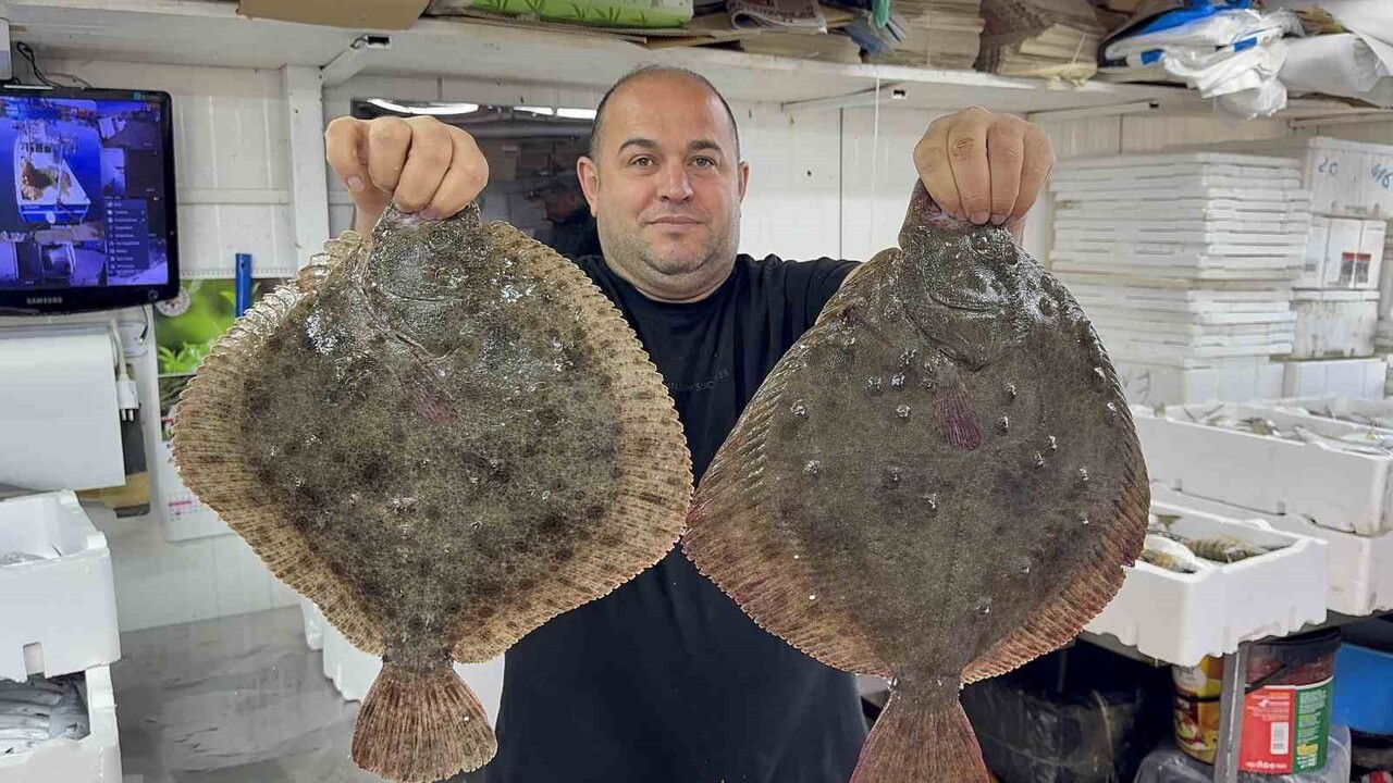 BU YIL HAMSİNİN BOLLUĞU TEZGAHLARDA Kİ ÇEŞİTLİLİĞE DE ETKİ EDEREK HEM BALIKÇI ESNAFININ HEM...