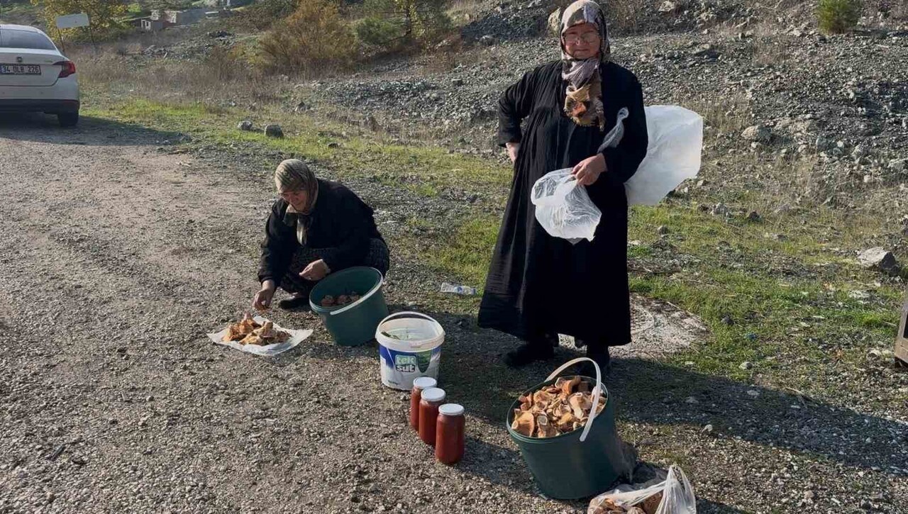 BURSA'DA 70 YAŞLARINDA İKİ KADIN, SABAH ERKEN SAATLERDE ÇIKTIKLARI ORMANLIK ALANDA KİLOMETRELERCE...