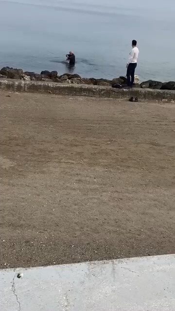 BURSA'NIN MUDANYA İLÇESİ GÜZELYALI SAHİLİNDE OLTALARIN MİSİNA VE KANCALARINA TAKILARAK SU ÜZERİNDE...