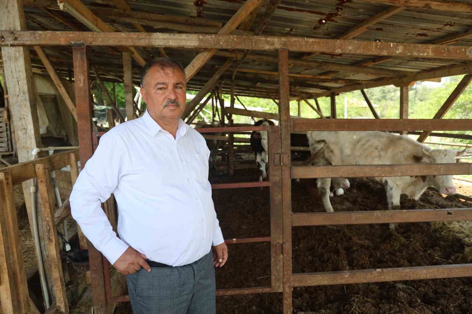 BÜYÜKBAŞ HAYVAN YETİŞTİRİCİLİĞİ VE SÜT ÜRETİMİNDE YAŞANAN SIKINTILARIN ÇİFTÇİYİ OLUMSUZ...