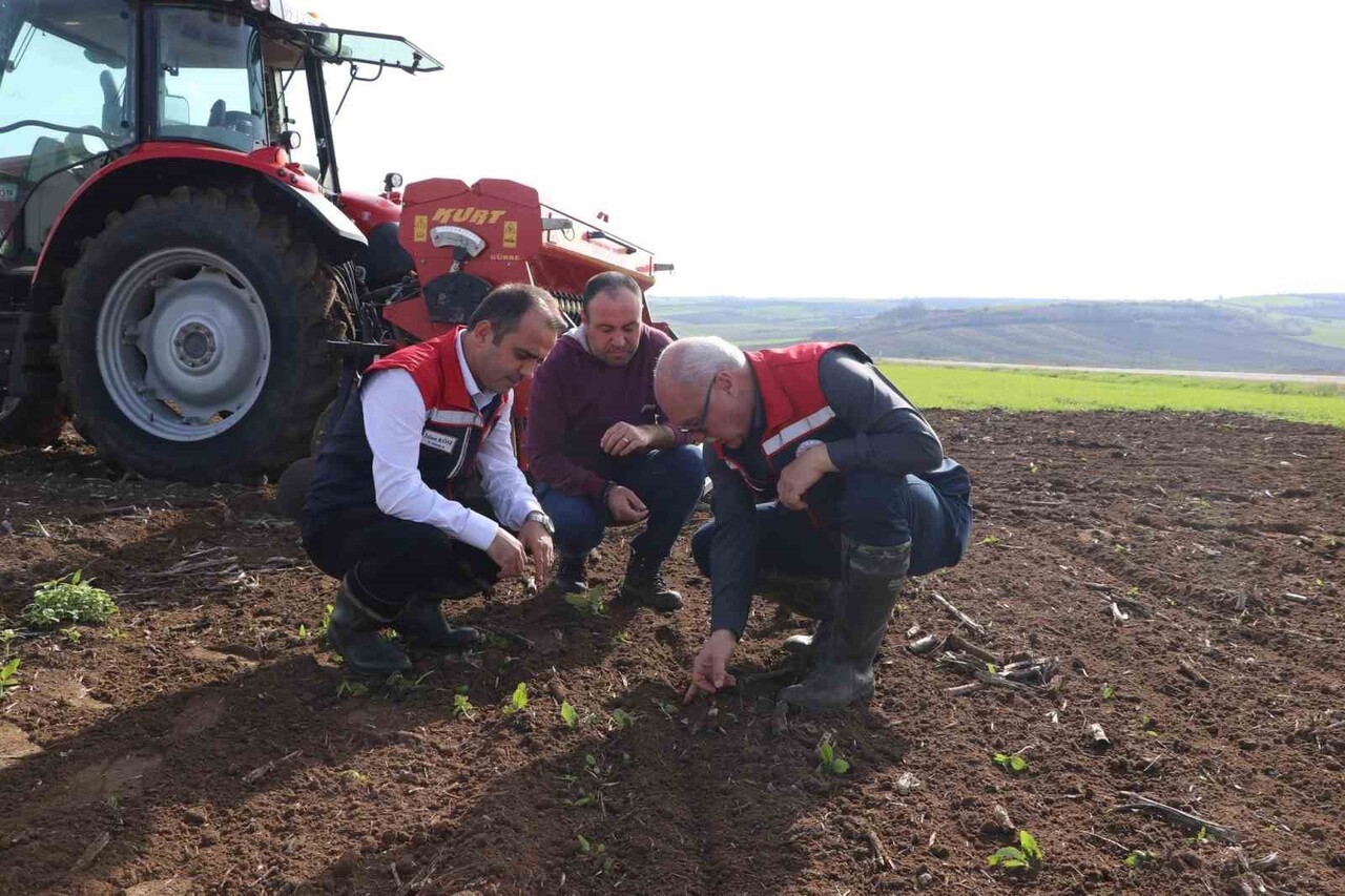 ÇALIŞMALAR, EDİRNE TARIM İL MÜDÜRÜ İSLAM KÖSE İLE BİTKİSEL ÜRETİM VE BİTKİ SAĞLIĞI ŞUBE MÜDÜRÜ...