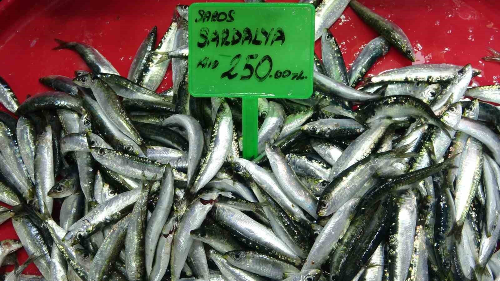 ÇANAKKALE'DE BALIK AV SEZONUNUN ORTALARINA DOĞRU GELİNİRKEN HAMSİ VE SARDALYA FİYATINI KORUYARAK...