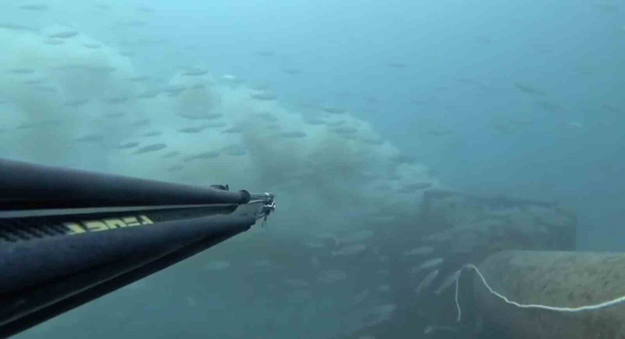 ÇANAKKALE'NİN KEPEZ AÇIKLARINDA DENİZE DALIŞ YAPAN BİR DALGIÇ, BOĞAZA DÖKÜLEN ATIK SU İLE...