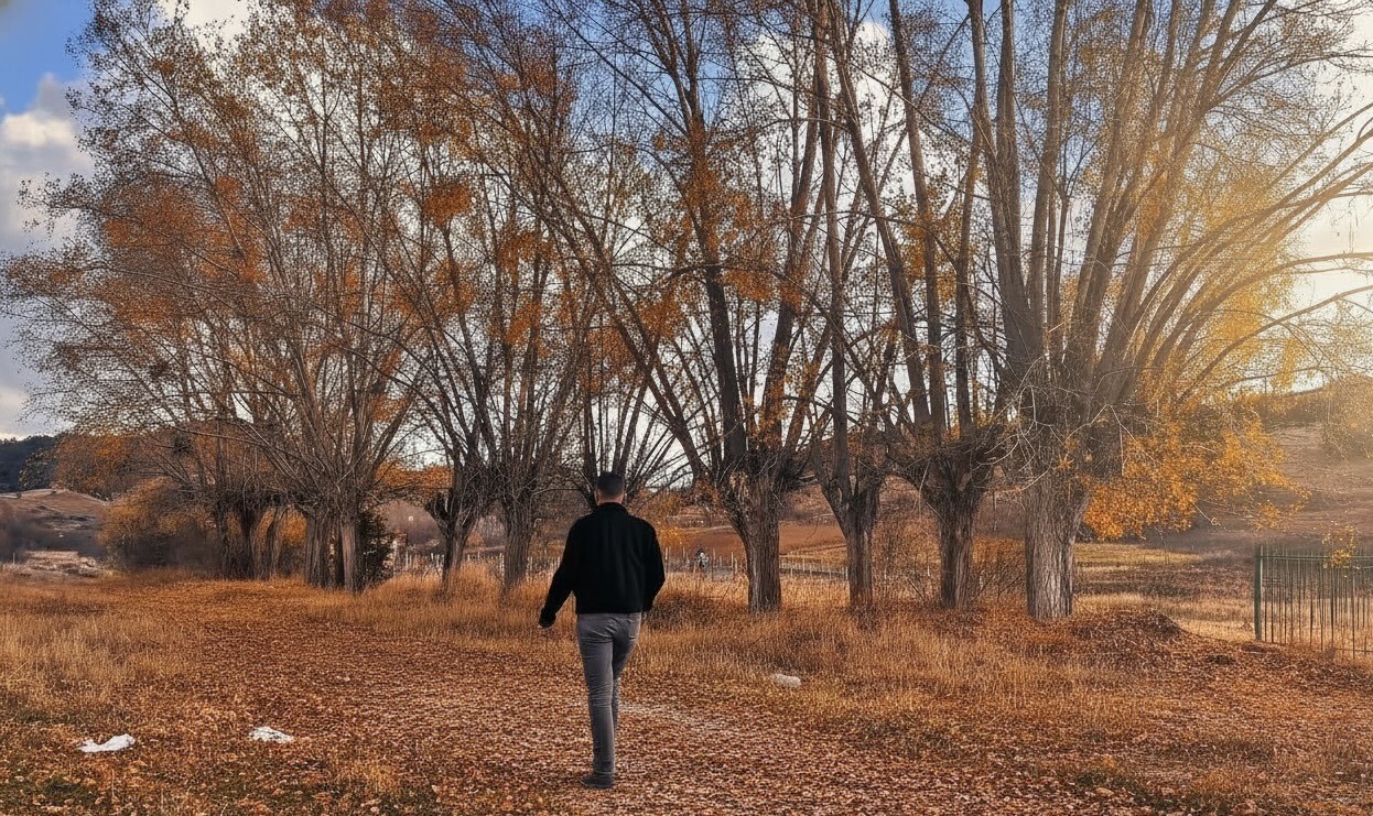 ÇANKIRI’NIN YAPRAKLI İLÇESİNDE SONBAHARLA BİRLİKTE RENK CÜMBÜŞÜNÜN YAŞANMAYA BAŞLADIĞI ORMANLAR...