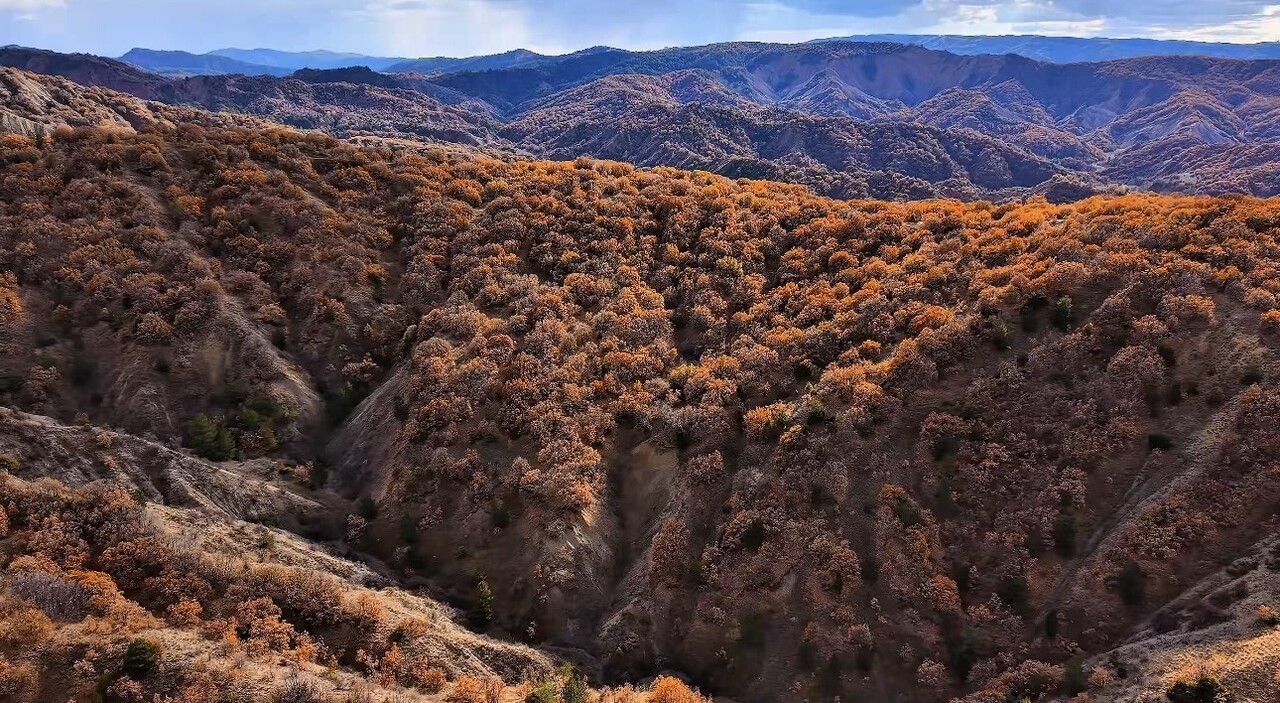 ÇANKIRI’NIN YAPRAKLI İLÇESİNDE SONBAHARLA BİRLİKTE RENK CÜMBÜŞÜNÜN YAŞANMAYA BAŞLADIĞI ORMANLAR...