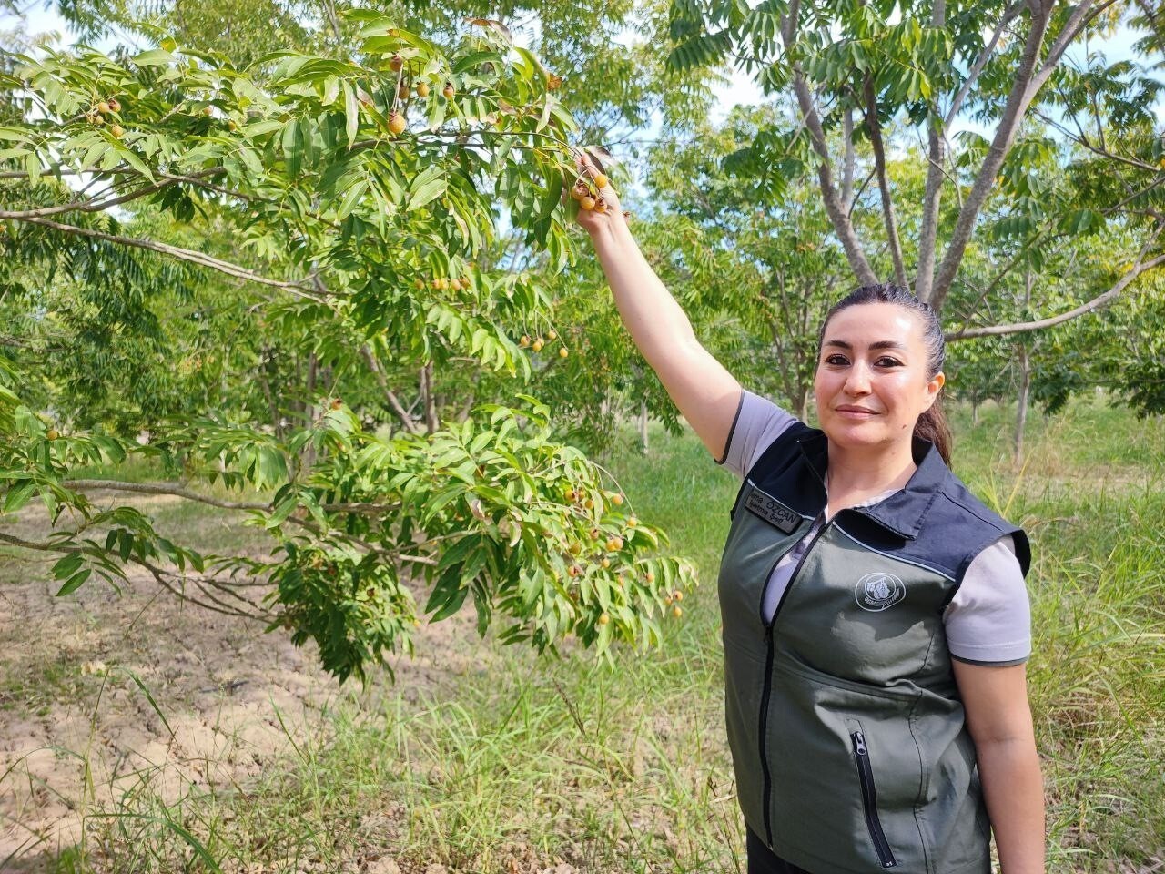 CEYHAN ORMAN FİDANLIK ŞEFLİĞİ İŞLETME ŞEFİ SEMA ÖZCAN