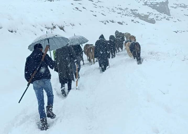 DAĞDA MAHSUR KALAN HAYVAN SÜRÜSÜ, KÖYLÜLERİN YOĞUN ÇABASIYLA KURTARILDI.