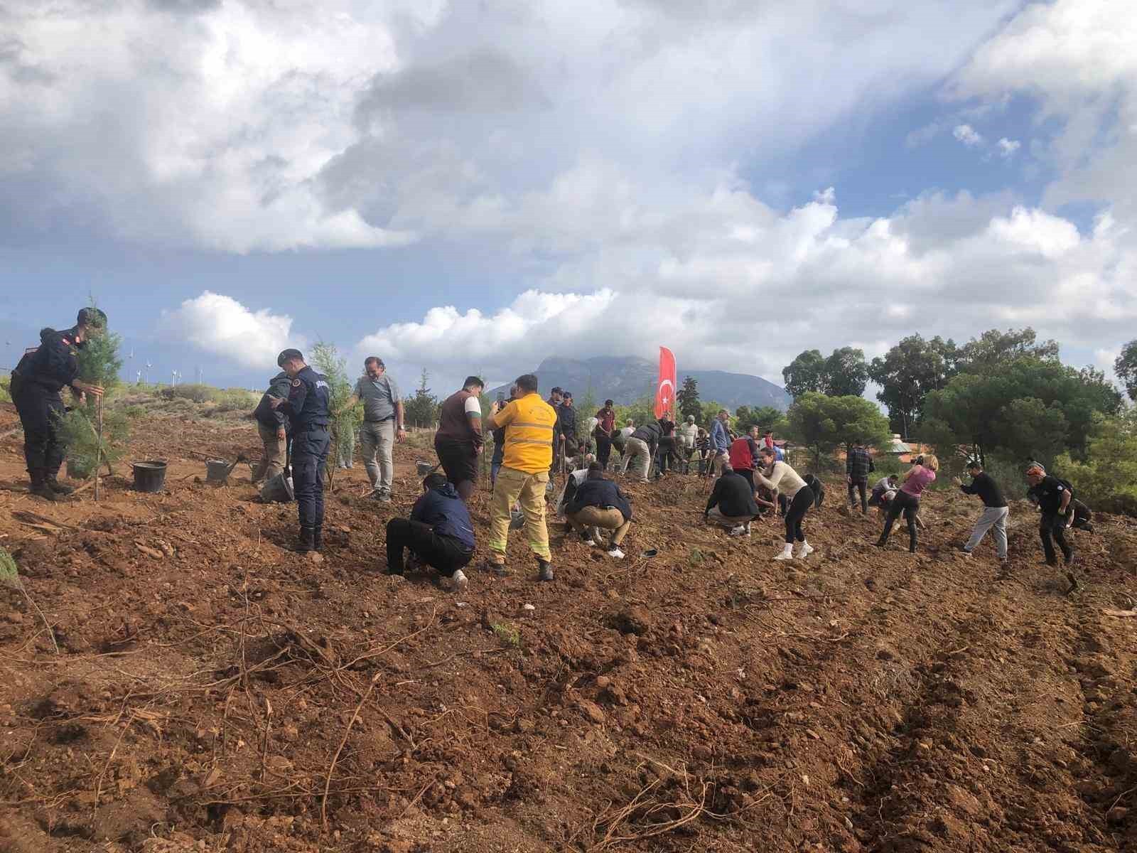 DATÇA’DA FİDANLAR TOPRAKLA BULUŞTU