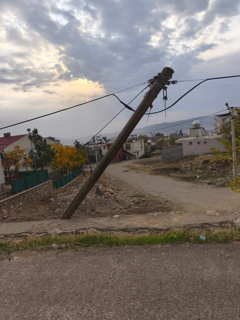 DİCLE İLÇESİNDE EĞİLMİŞ HALDEKİ AĞAÇ DİREK YIKILMAMAK İÇİN DİRENİRKEN, VATANDAŞLAR EĞRİ DİREĞİN...