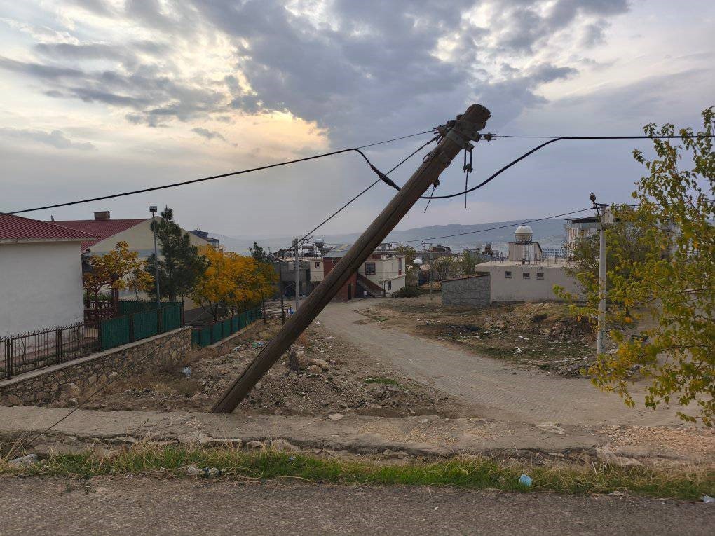 DİCLE İLÇESİNDE EĞİLMİŞ HALDEKİ AĞAÇ DİREK YIKILMAMAK İÇİN DİRENİRKEN, VATANDAŞLAR EĞRİ DİREĞİN...