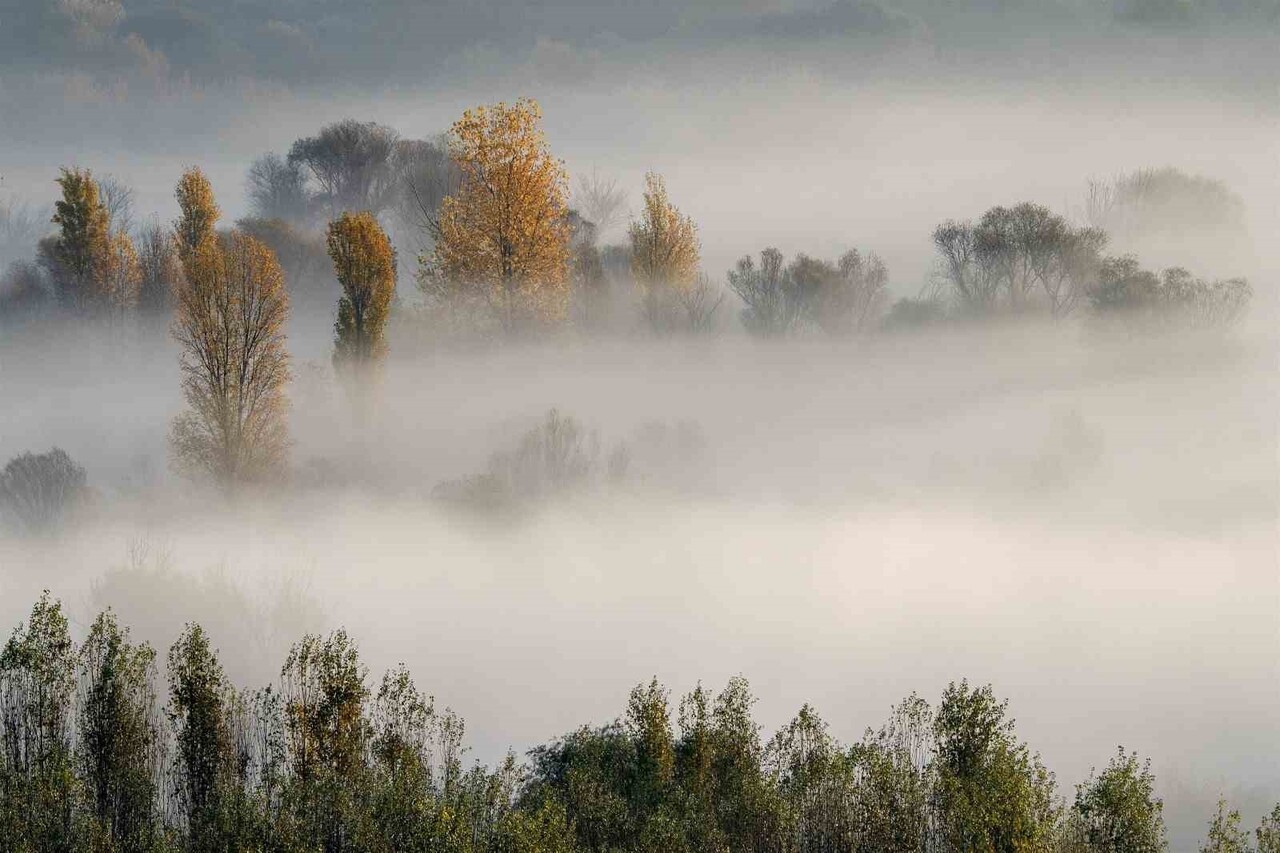 DİCLE NEHRİ'NDEN YÜKSELEN NEMİN SABAHIN ERKEN SAATLERİNDE, GECELEYİN HIZLA SOĞUYAN HAVAYLA...