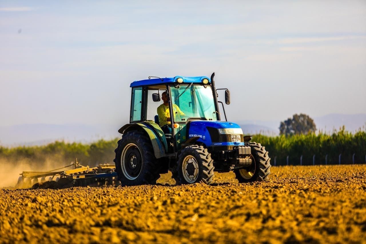 DİDİM BELEDİYESİ, BALAT MAHALLESİ’NDEKİ 70 DÖNÜMLÜK ARAZİDE BUĞDAY EKİMİNİ TAMAMLAYARAK, YEREL...