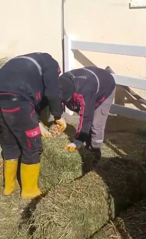 DIŞARIDAN ALINAN YONCA BALYALARININ TARTIDA AĞIR GELMESİ İÇİN İÇERİSİNE TAŞ KONULDUĞU...