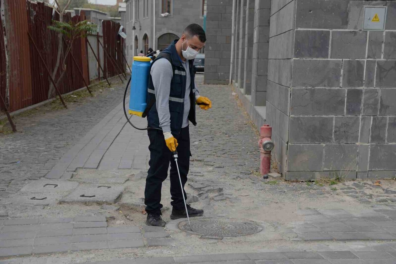 DİYARBAKIR BÜYÜKŞEHİR BELEDİYESİ, KENT GENELİNDE HAŞERELERE KARŞI KIŞLAK İLAÇLAMA ÇALIŞMASININ...