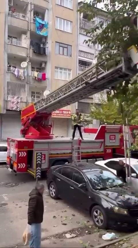 DİYARBAKIR’DA AĞAÇTA MAHSUR KALAN KEDİ, İTFAİYE EKİPLERİNİN MÜDAHALESİ İLE KURTARILDI.