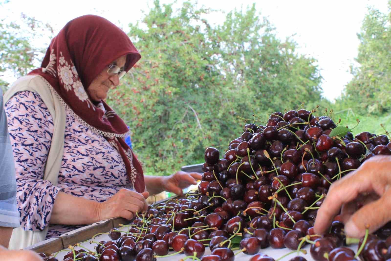 DONDURULMUŞ GIDA DERNEĞİ YÖNETİM KURULU ÜYESİ BÜLENT YILDIRIM, "DONDURULMUŞ KİRAZDA DA İLK...